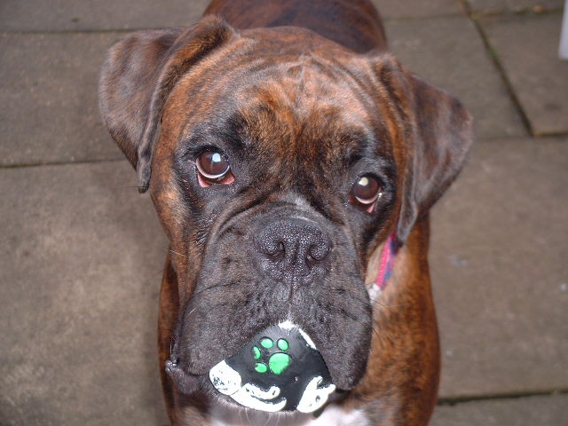 Like my ball?