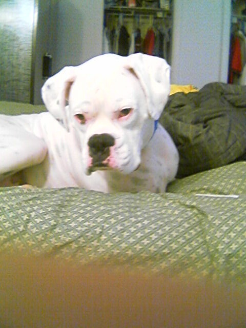 Like my new bed =)
