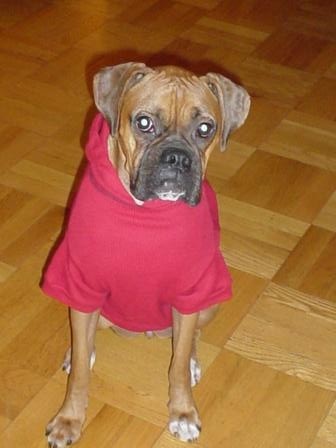 like my shirt?