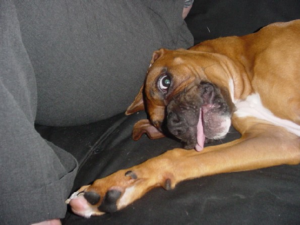 Like my tongue?