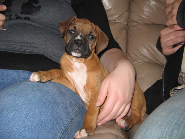 Lil' Lucy