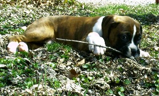 Lil Maggie