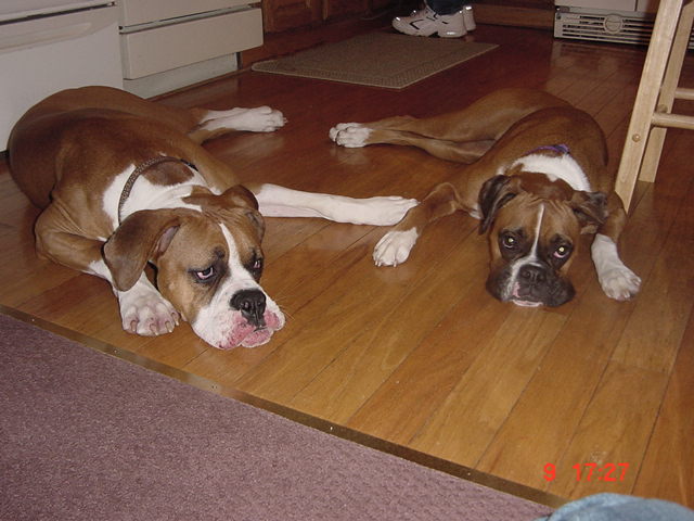Lila and Scooter