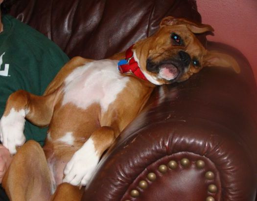 Lillisseat