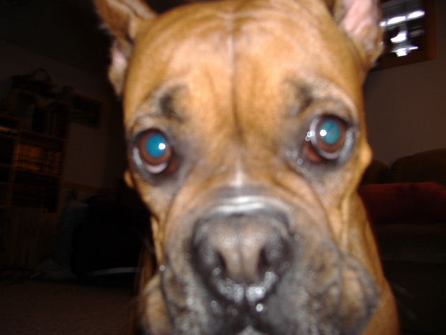 Lilo Up Close