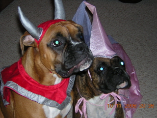 Lily and Daisy Trick or Treating