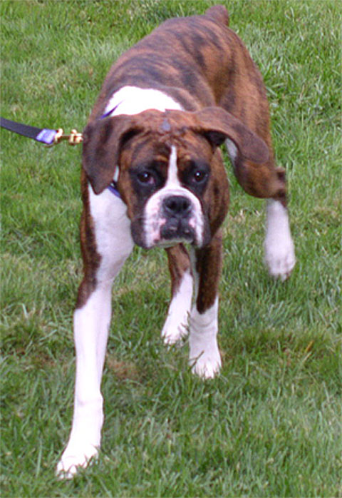 Lily at the wedding
