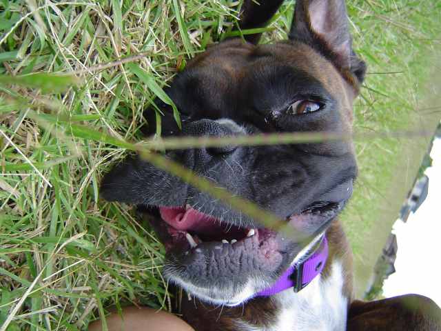 Lily being silly