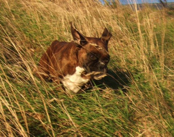 Lily flying down the hill