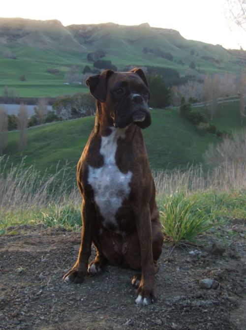 Lily looking proud