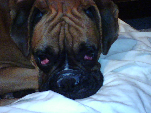 Lily on drugs