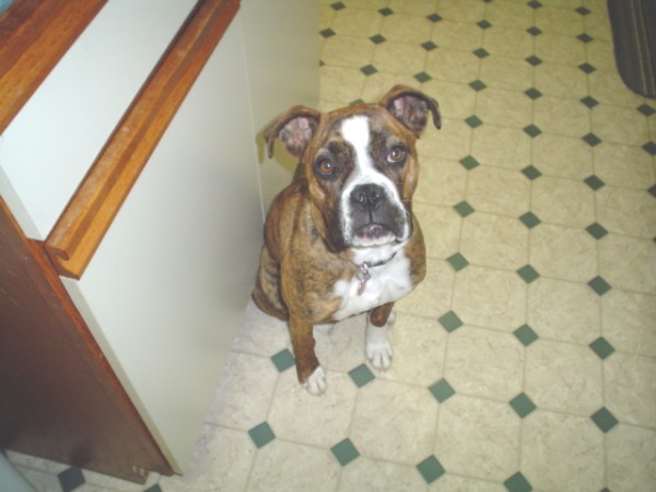 Lily