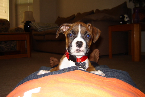 lincoln_9_5_weeks_004_00