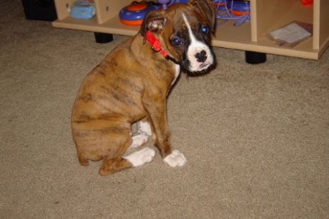 lincoln_9_5_weeks_013_00