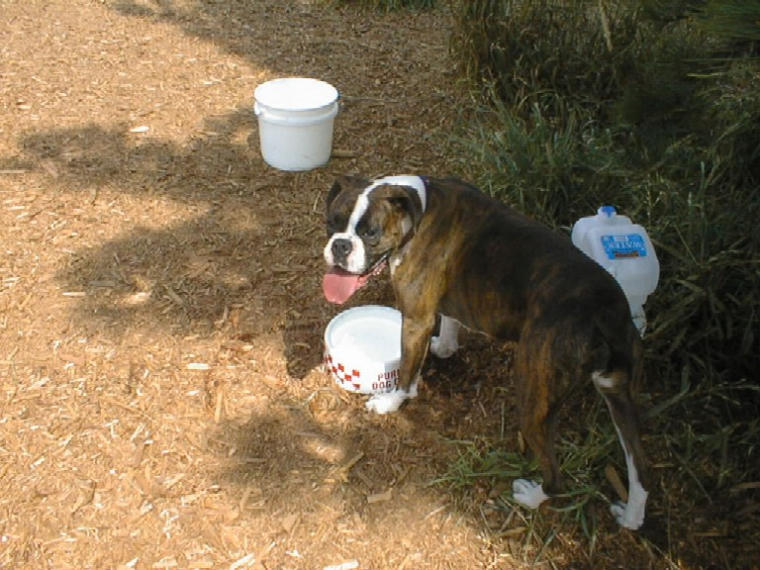 (Linda's) Bailey