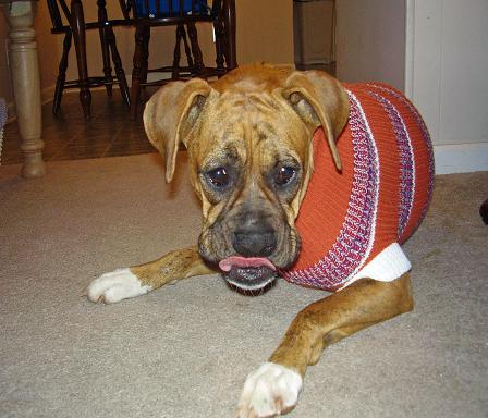 lip licking good