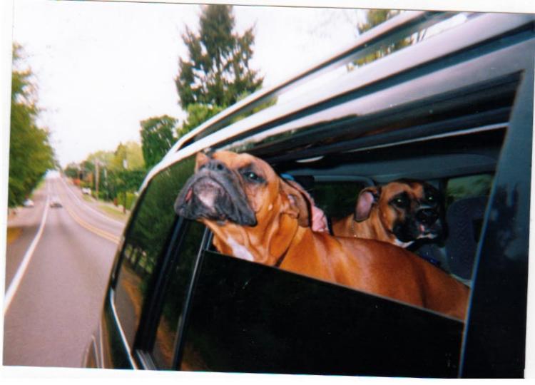 Lips flappin in the wind