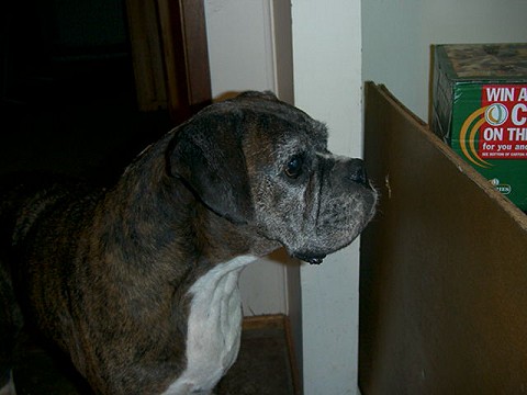 Lissa - 10 years and 11 months