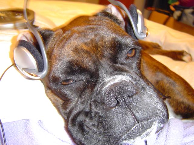 Listening to some tunes