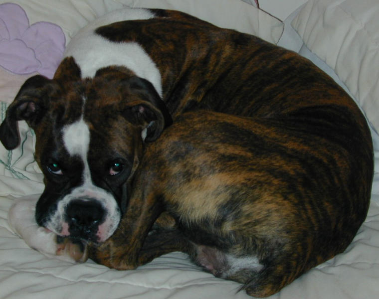 little baby