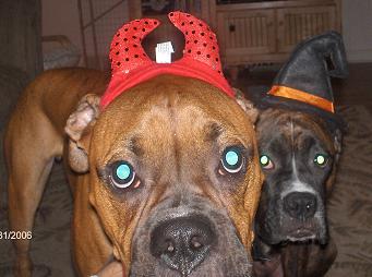 Little Devil and Witch