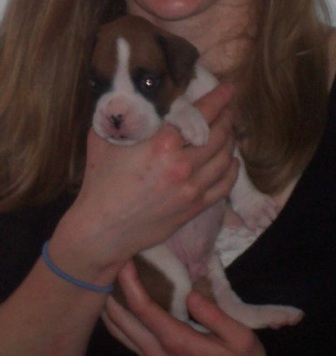 Little Humphrey