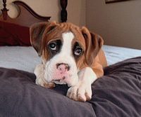 Little Mason