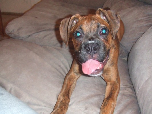 Little Miss Big Tongue!!!!