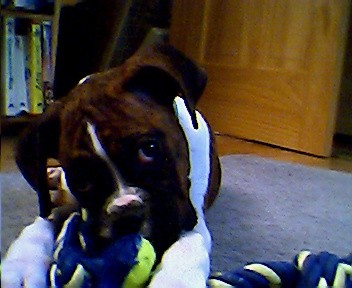 Little Miss Prescious at play