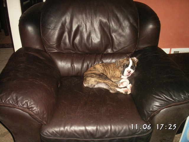 little_lazy