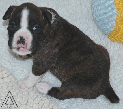 Liza_3_weeks