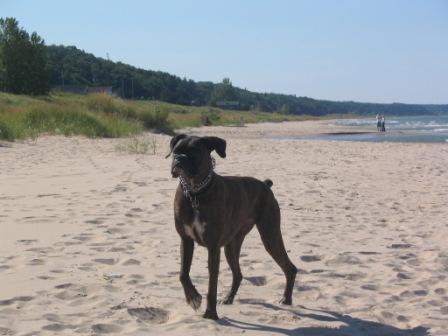 Lizzie Jane - Summer 2005