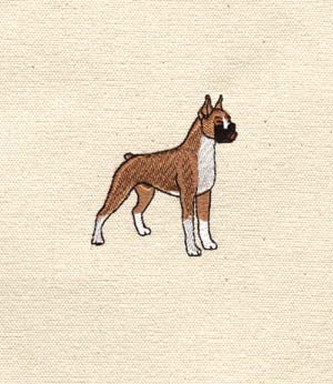 LLBean boxer