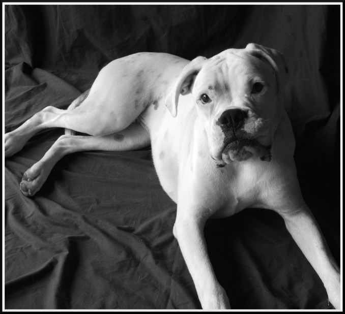 Logan 9 months old