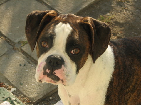 Logan's handsome face