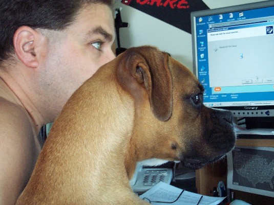 Logging on to Boxer World