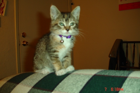 Loki as a baby