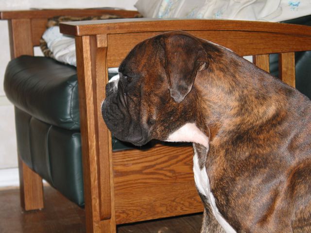 Loko Profile