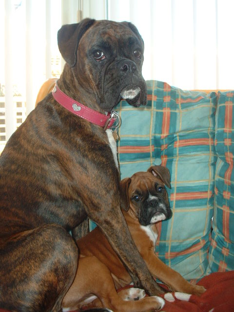 Lola 11 months, Zeb almost 11 weeks