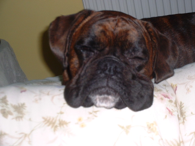 Lola 11th May