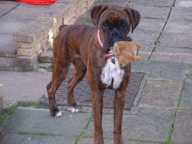 Lola 7th sept 06