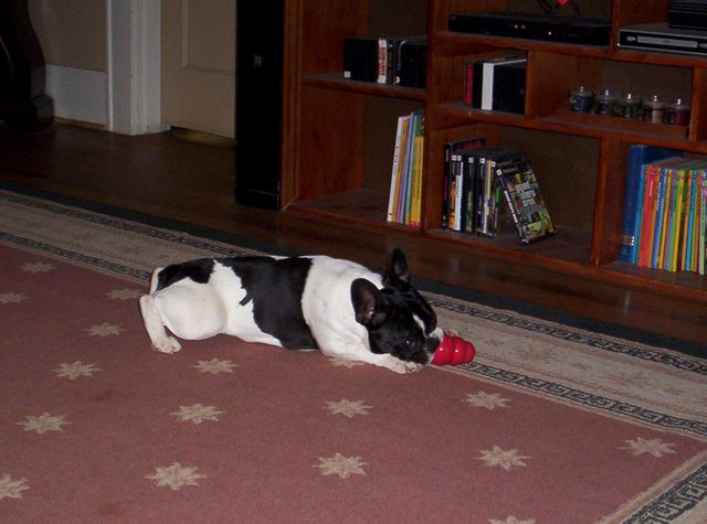 Lola and her kong