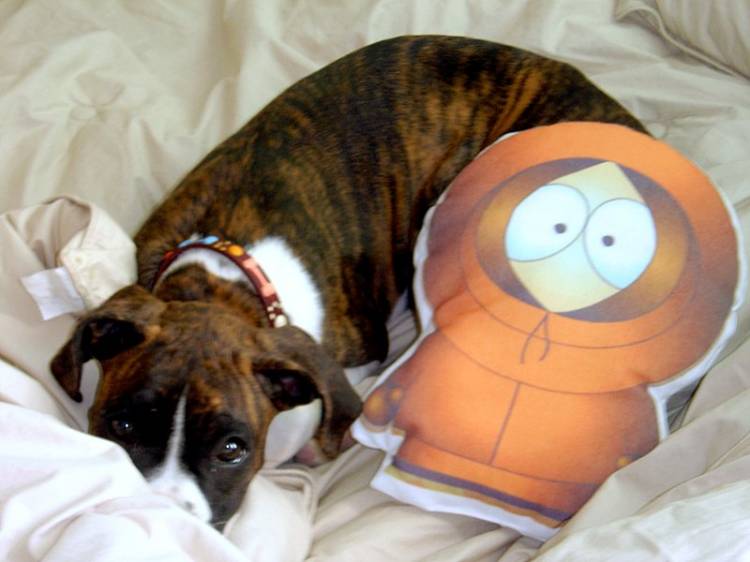 lola and kenny.... he is still alive... jajajaja