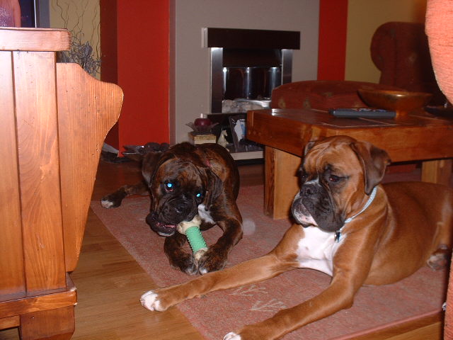 Lola and Zeb 25 Nov 06