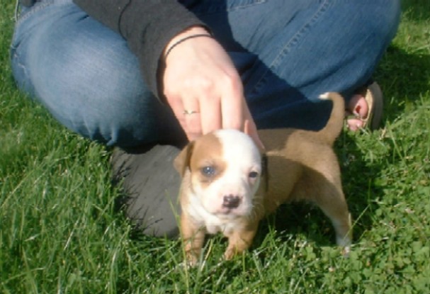 Lola at 5 weeks