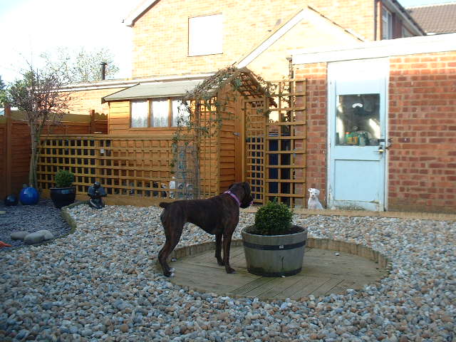 Lola & Casper in the garden