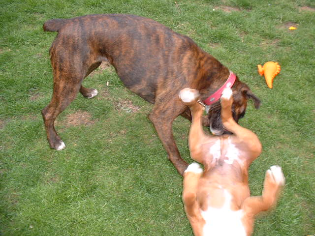 Lola getting her own back