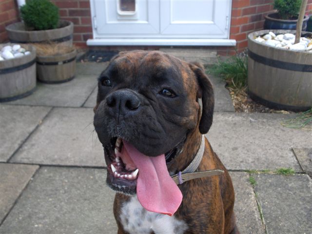 Lola & her comedy tongue :)