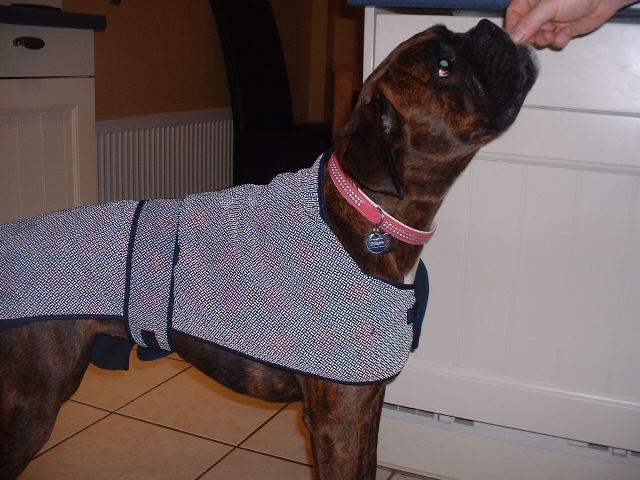 Lola in her coat