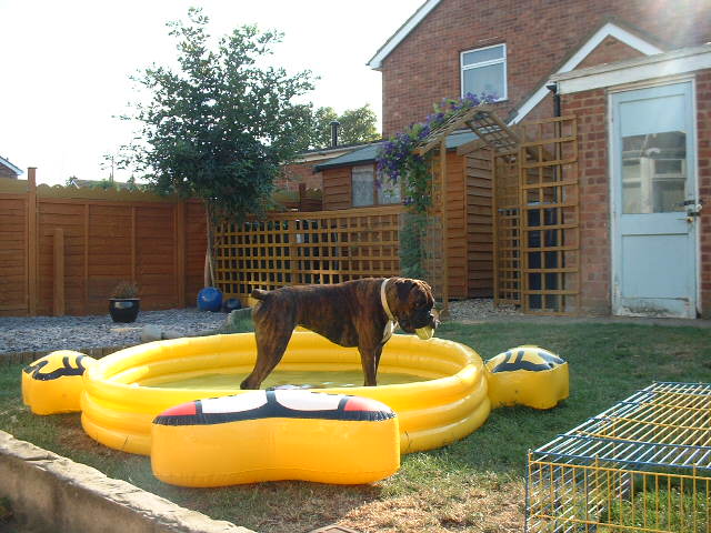 Lola in the paddling pool
